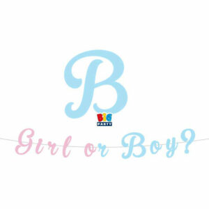 Festone 300 cm Scritta italic Baby Girl or Boy? *