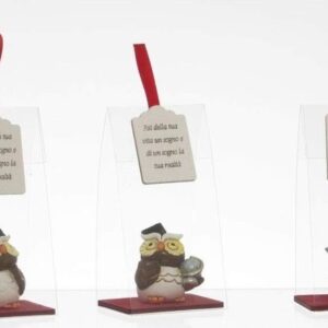 Gufetto Laurea in Box PVC con Frase 10×5 cm*